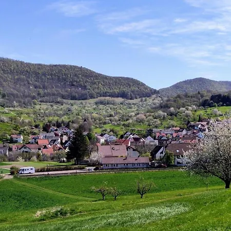 Daire Barner - Keine Monteure